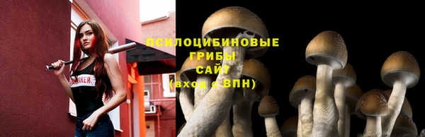 скорость Баксан