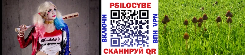 блэк спрут tor  Суровикино  Псилоцибиновые грибы Psilocybine cubensis  дарк нет наркотические препараты  где найти наркотики 
